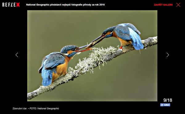 16 nejlepších fotografií přírody National Geographic