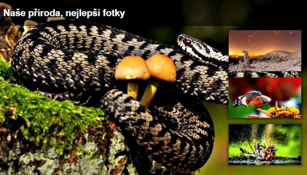 Naše příroda - 16 nejlepších fotografií